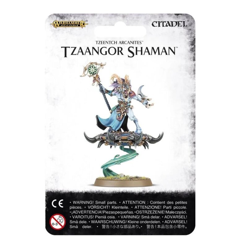 DISCIPLES OF TZEENTCH: TZAANGOR SHAMAN