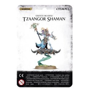 DISCIPLES OF TZEENTCH: TZAANGOR SHAMAN